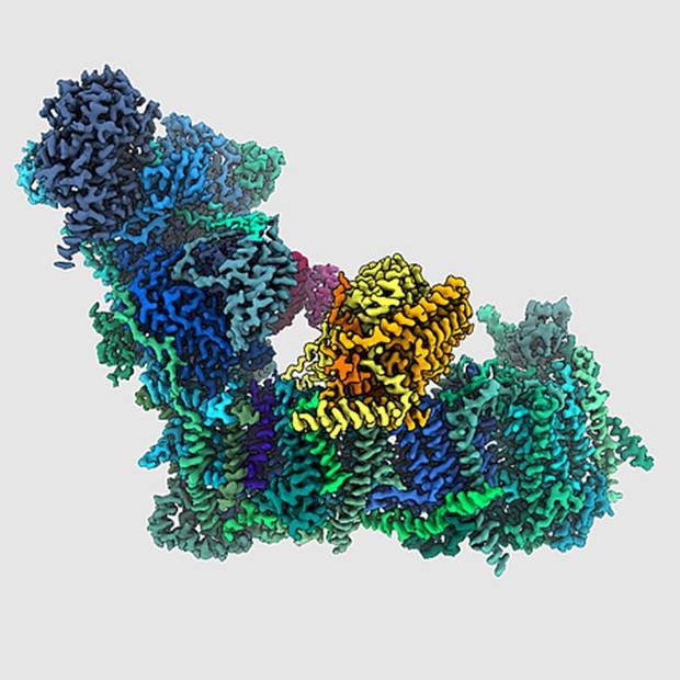 Darstellung des Enzyms als Modell