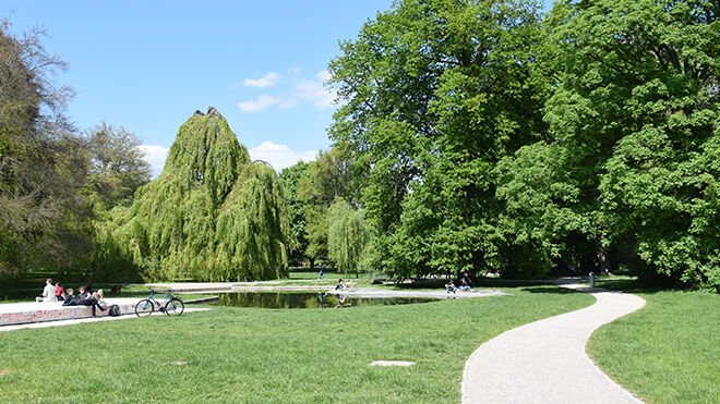 Grünfläche im Welfengarten